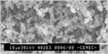 Membrana Filtrante – PES (Polietersulfona)