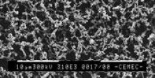 Membrana Filtrante – Acetato de Celulosa