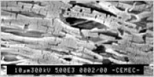 Membranas Filtrantes para Filtración Industrial